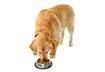 Putting the Essential in Fatty Acids
