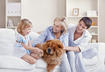 5 Essential To-dos Before Bringing a New Pet Home