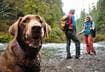 #8 Try a New Activity with Your Pet