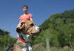 How to Choose the Best Dog Food