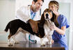 Show Your Vet Tech Some Love