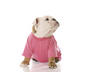 Girl Name #3 - Zoey
