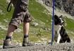 8 Best Hiking Trails for Dogs
