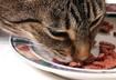 3. But food is the <em>only</em> thing that makes him happy.