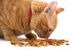 3. Carbohydrates