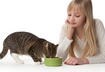 4. Finding Time to Monitor Your Cats