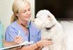 Top Ten Signs of Heart Disease in Dogs