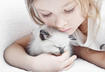 Top Five Calm Cats for Kids