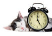 2. Time