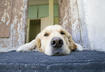 #4 Pay Special Attention (to Special Needs)