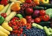 Integrating Minerals in Pet Food