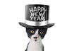 Top 10 New Year’s Resolutions for Your Pet (and You)