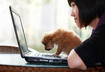 Do Homework on Your Brand