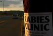 7. Rabies Records are often Required