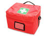 Ten Items for Your Pet First Aid Kit