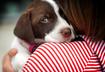 Five Steps to Preventing Dog Separation Anxiety