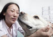 Top 5 Questions from Owners of Pets with Cancer