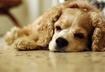 #6 Vomiting and Diarrhea