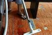 6. Vacuum Diligently
