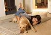 #9 Dogs Don’t Care if You Put on a Few Pounds