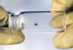 6. Tick Disposal