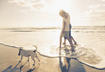 Eight Ways to Honor the Memory of Your Pet