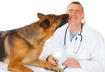 5. Consult a Professional