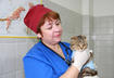 4. Rabies