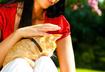Ten Ways to Stop Ticks from Biting Your Cat