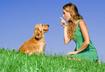 #1 You Can Train a Dog