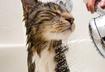 3. Lather, Rinse, Repeat