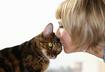Eight Safety Tips for Using Flea and Tick Product on Cats