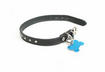 #9 Get Your Pet ID'd