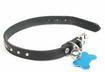 7. Have Your Pet Properly Identified