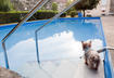 Five Pool Safety Tips for Dogs