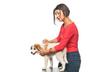 Seven Types of Flea & Tick Control Products