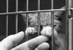 10. Educate Others About Homeless Cats