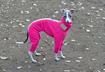 4. Snowsuit