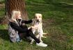 #5 Dogs Aren’t Threatened If You Earn More