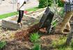 #2 Poor Landscaping