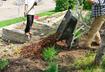 4. Landscaping