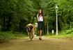 #10 Helps Keep Pets Healthy