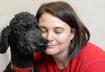 1. Poodle (Standard and Miniature)