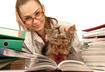 2. Encourages Longer Work Hours