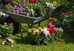 8. Treat Your Yard