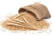 Take Glutens and Grains into Consideration
