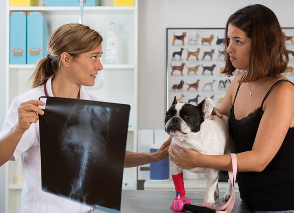 How to Find Low Cost Vets | petMD