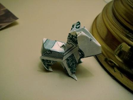 money dog, pet insurance, reimbursements from insurance company, origami dog