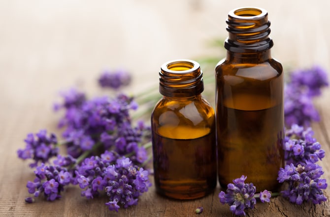 Lavender, Tea Tree, and Calendula Flower Oils