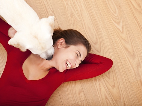 dog licking face, dog kiss, happy dog, happy person, floor exercise